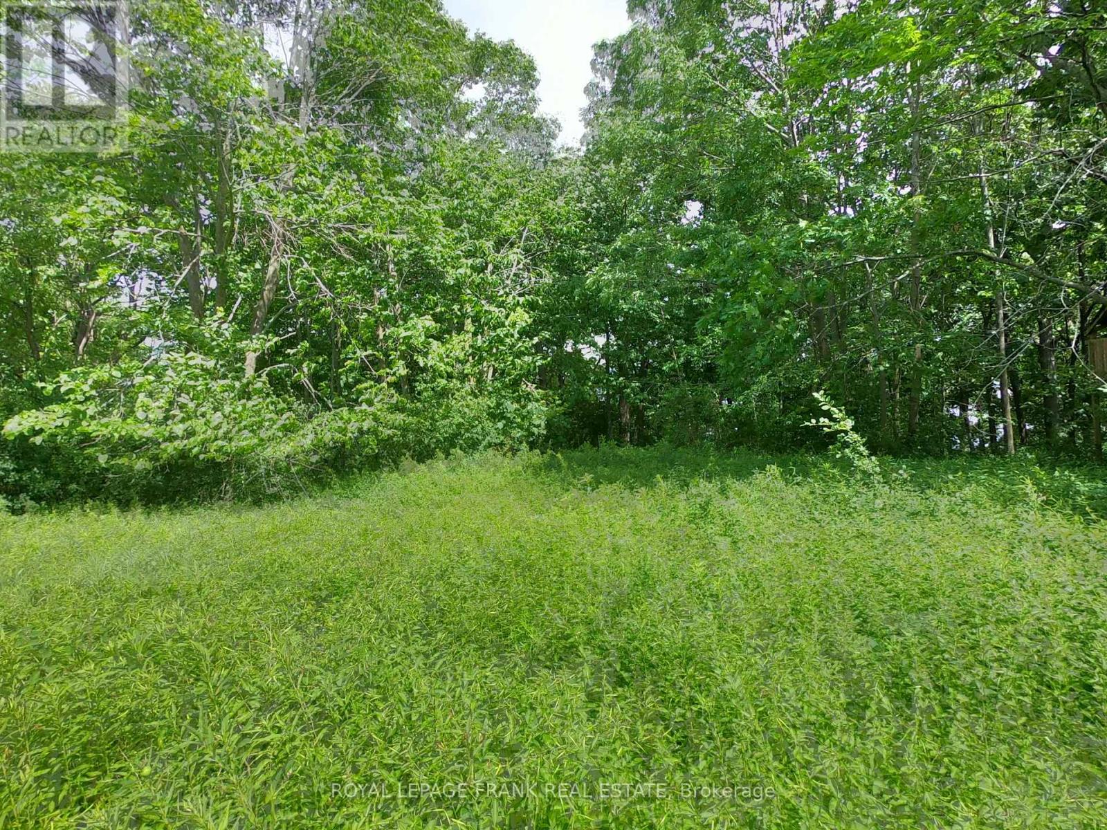 110 Cow Island, Otonabee-South Monaghan, Ontario  K0K 1B0 - Photo 10 - X12020447