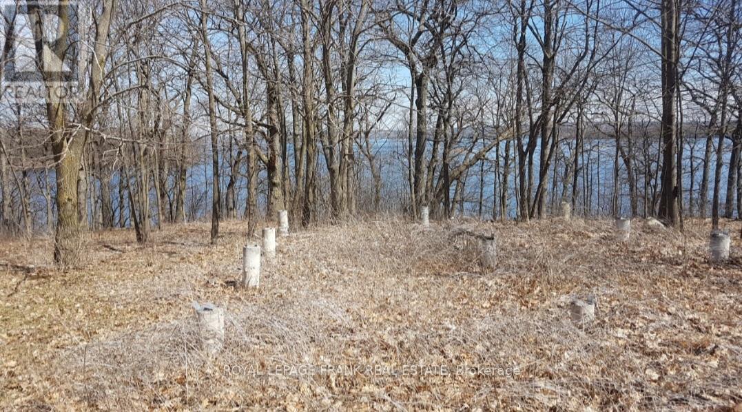 110 Cow Island, Otonabee-South Monaghan, Ontario  K0K 1B0 - Photo 12 - X12020447