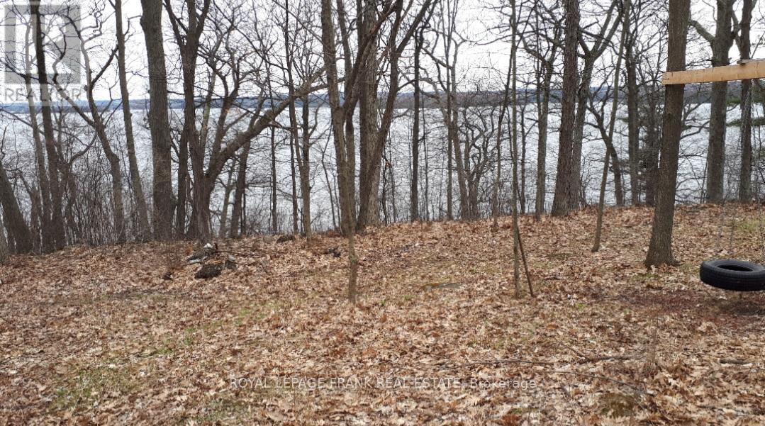 110 Cow Island, Otonabee-South Monaghan, Ontario  K0K 1B0 - Photo 13 - X12020447