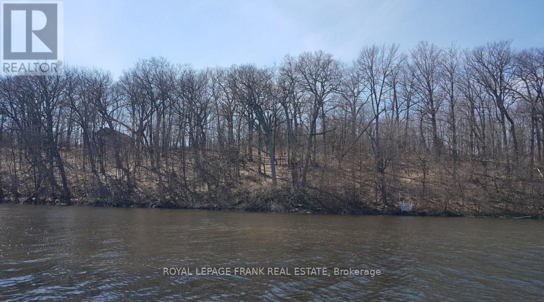 110 Cow Island, Otonabee-South Monaghan, Ontario  K0K 1B0 - Photo 8 - X12020447