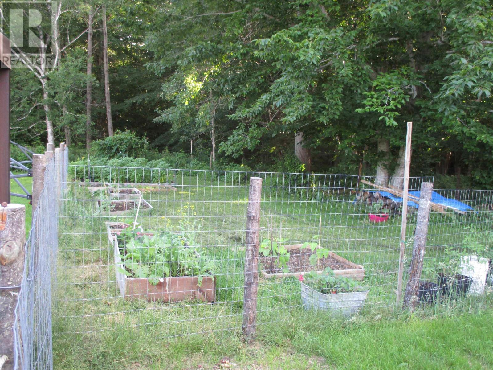 2282 Patrice Road Road, Concession, Nova Scotia  B0W 1M0 - Photo 42 - 202504857