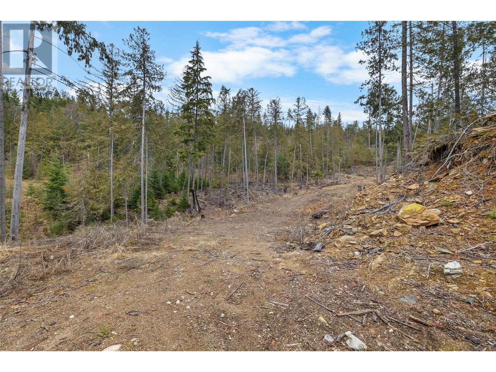 506 Riondel Road, Riondel, British Columbia  V0B 2B0 - Photo 4 - 10339132