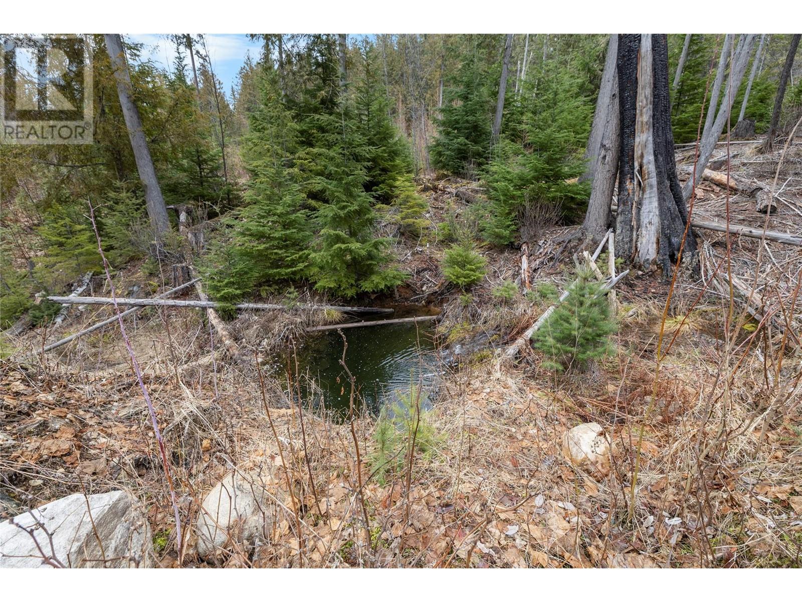 506 Riondel Road, Riondel, British Columbia  V0B 2B0 - Photo 9 - 10339132