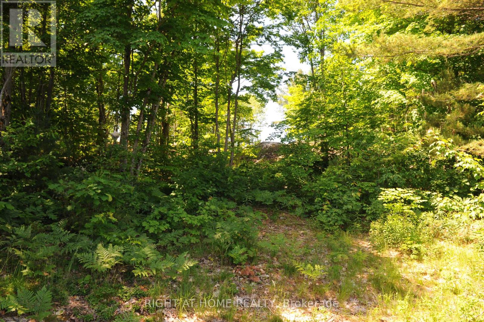 22 Hawkins Point, Georgian Bay, Ontario  P0C 1H0 - Photo 22 - X12020636