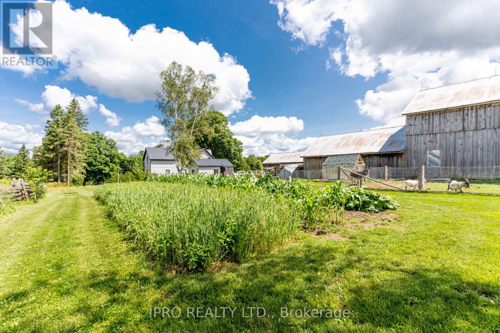 403428 Grey Rd 4 Road, West Grey, Ontario  N0G 1R0 - Photo 25 - X12020662