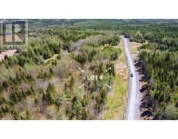 Lot 4 Beaver Ln.