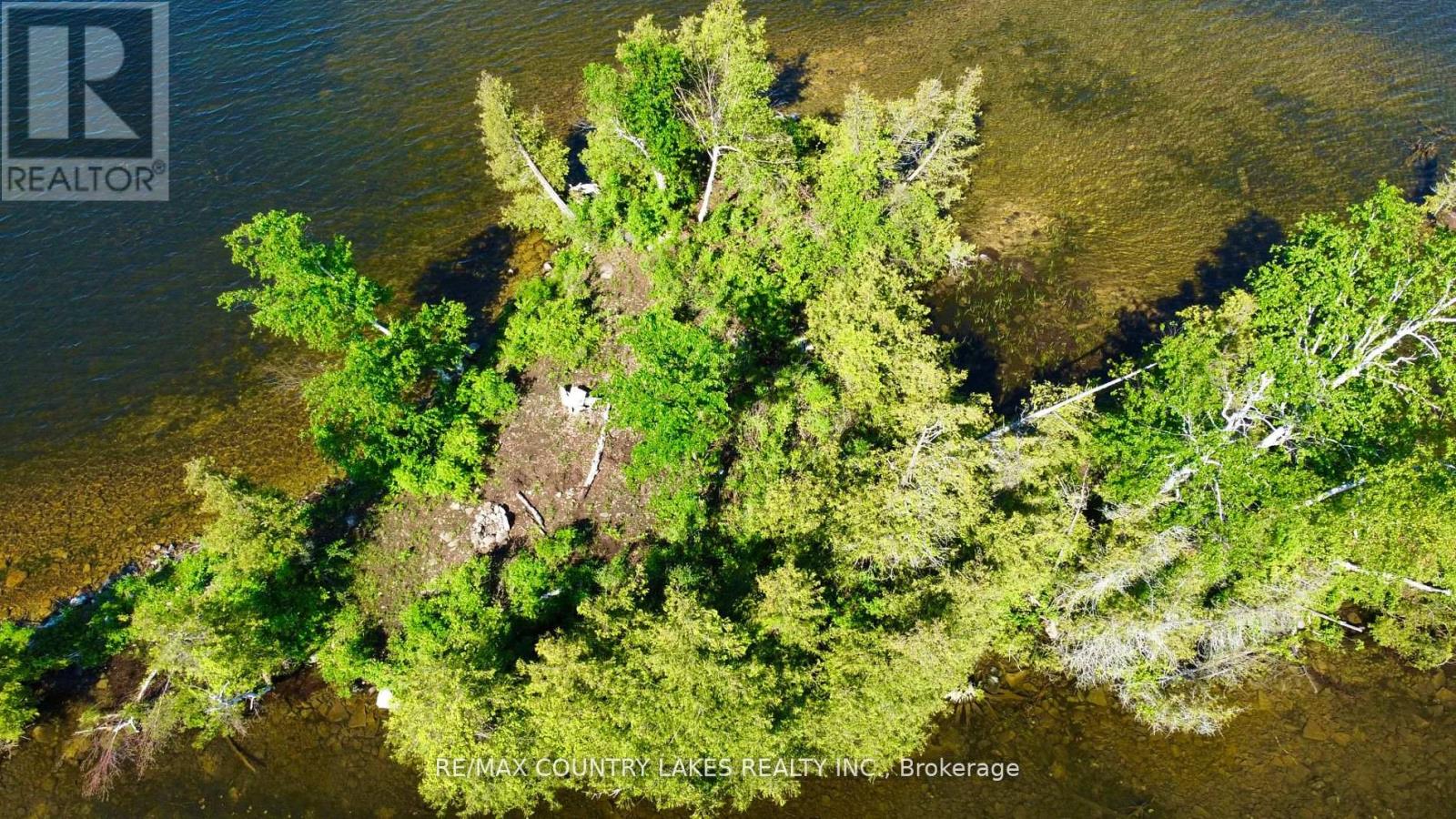 Lt 1 Island, Kawartha Lakes, Ontario  K0M 2B0 - Photo 8 - X12021106