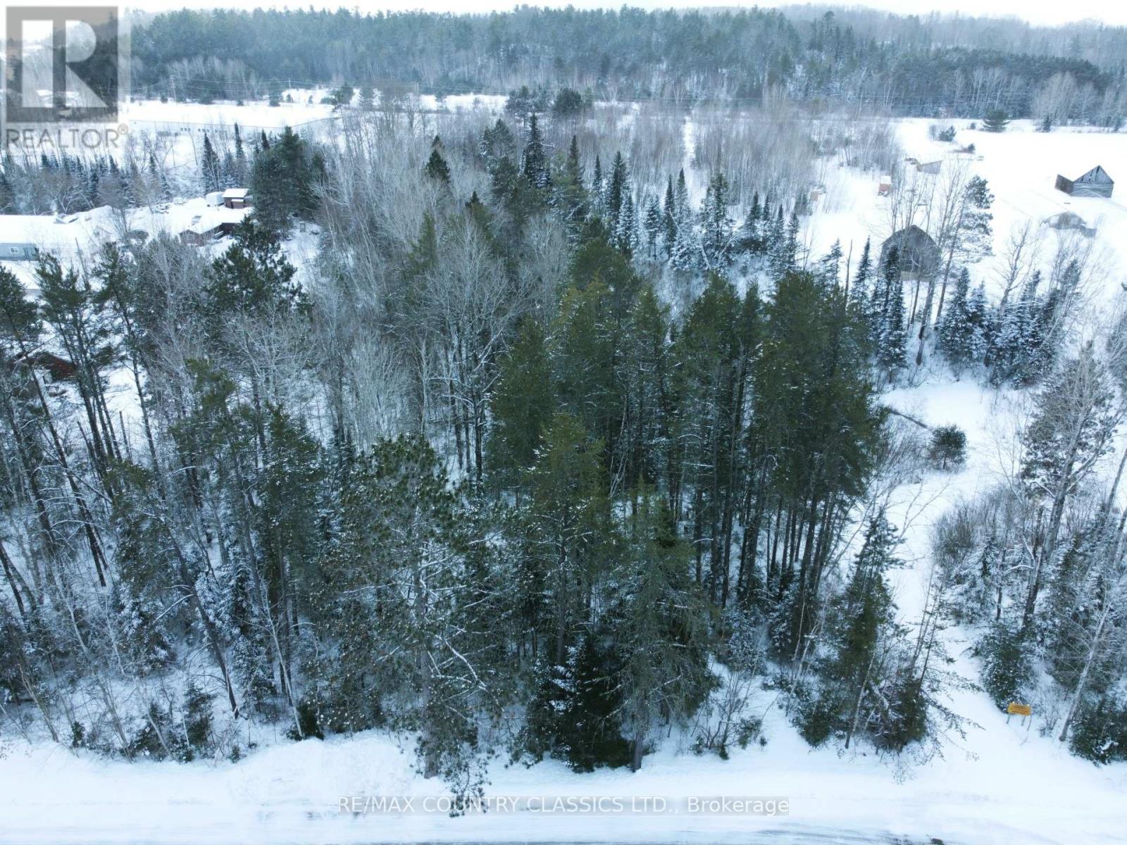 Pl177 Murray Park Street, Madawaska Valley, Ontario  K0J 1B0 - Photo 9 - X12021405