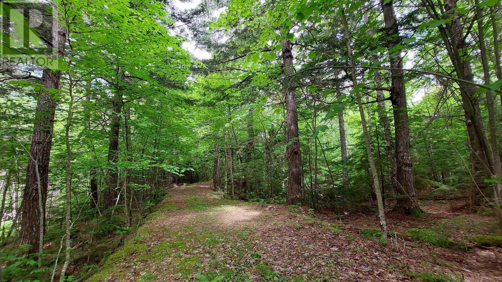 Lot 20 Redbird Dr, Malagawatch, Nova Scotia  B0E 2Y0 - Photo 5 - 202504104