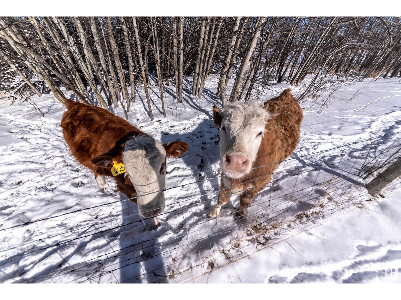 2410 Twp Road 562, Rural Lac Ste. Anne County, Alberta  T0E 1V0 - Photo 36 - E4425935