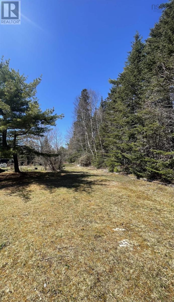 492 Crandall Road, Port Hawkesbury, Nova Scotia  B9A 1W9 - Photo 5 - 202503655