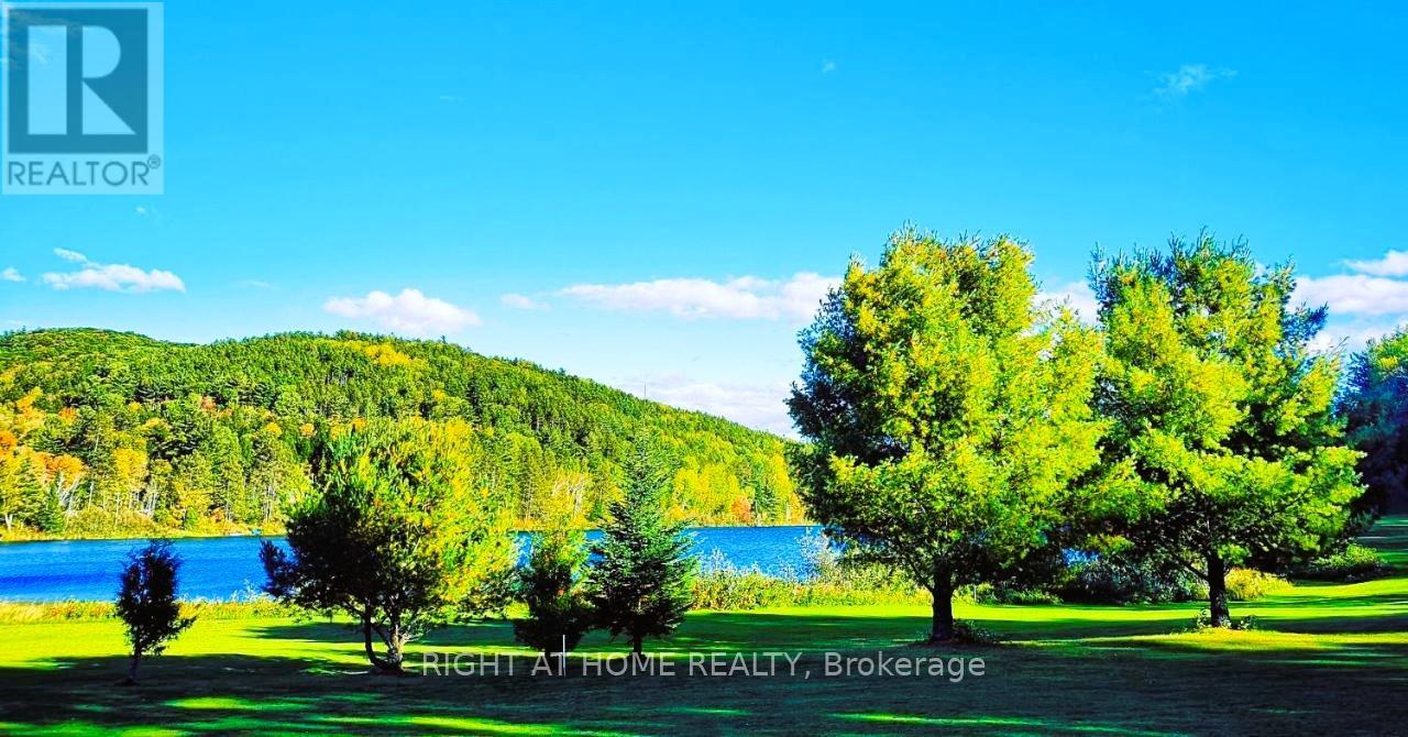 2937 Old Barrys Bay Road, Madawaska Valley, Ontario  K0J 1B0 - Photo 37 - X12019509