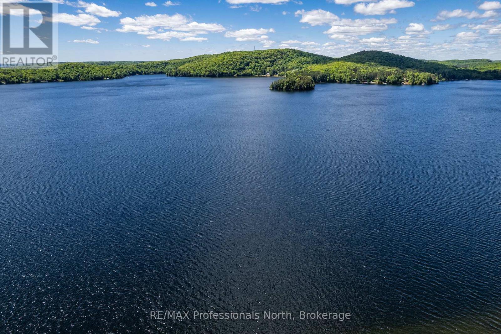 1174 Seabreeze Road, Lake Of Bays, Ontario  P0A 1H0 - Photo 21 - X12021790