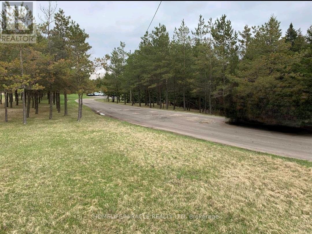 Property at 287 COUNTY RD 16 ROAD image 4