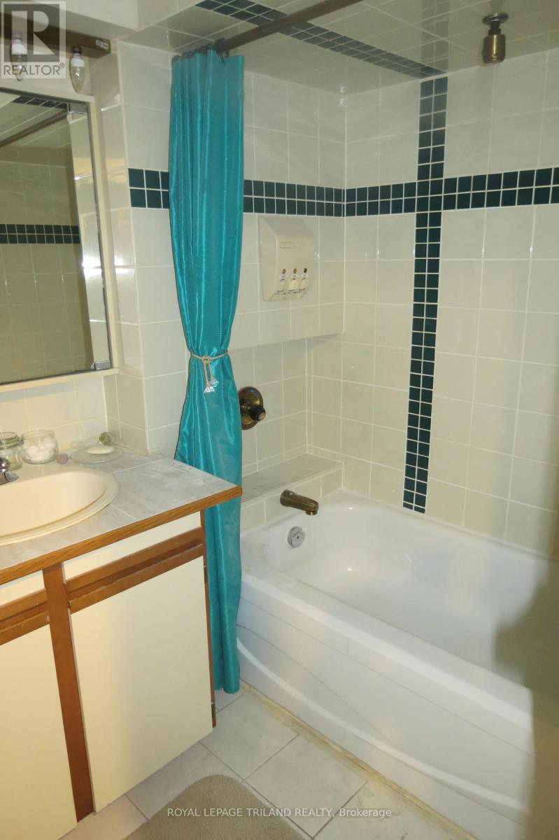 Lower - 76 Ardsley Road, London North, Ontario  N6G 3W4 - Photo 19 - X12022026