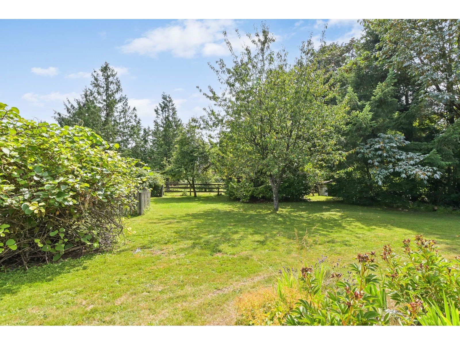 23570 Old Yale Road, Langley, British Columbia  V2Z 2K3 - Photo 9 - R2905400