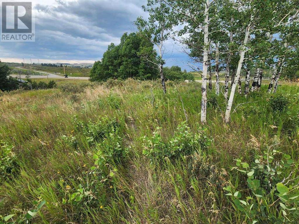 430 Cottageclub Cove, Rural Rocky View County, Alberta T4C 1B1 - Photo 10 - A2202942