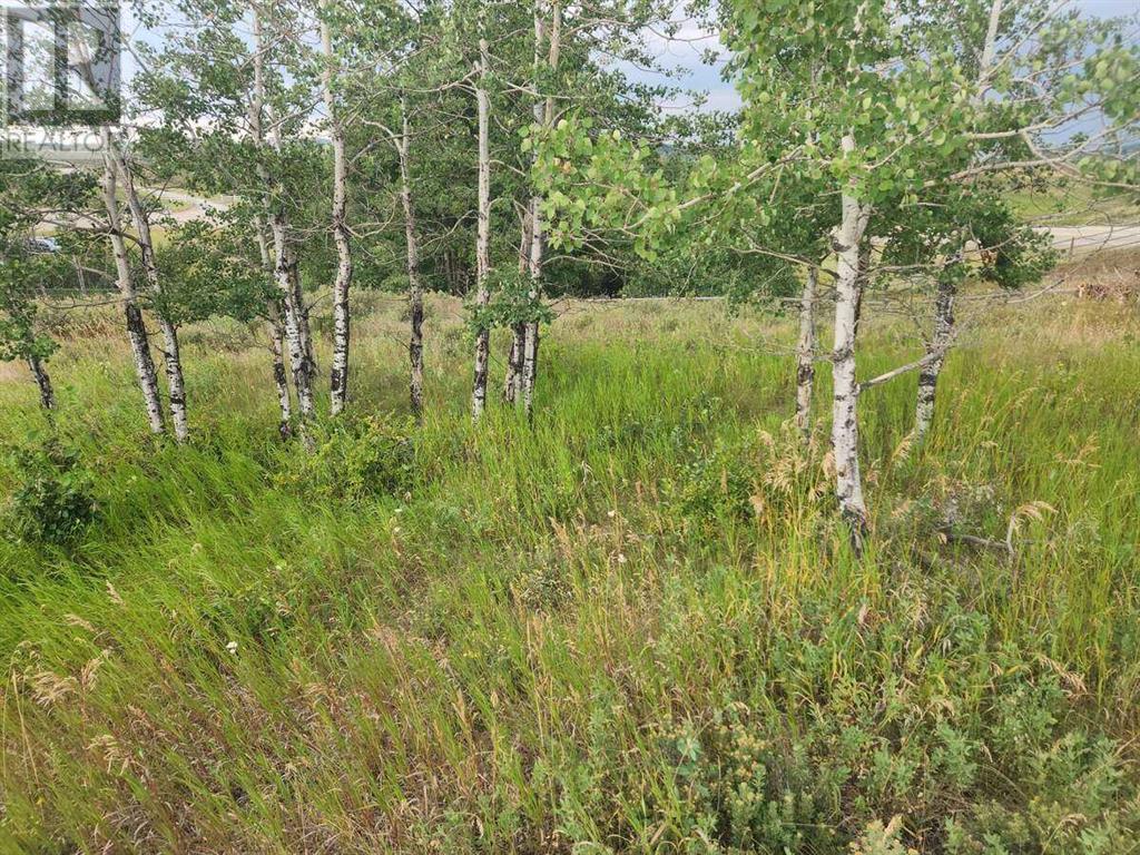 430 Cottageclub Cove, Rural Rocky View County, Alberta T4C 1B1 - Photo 6 - A2202942