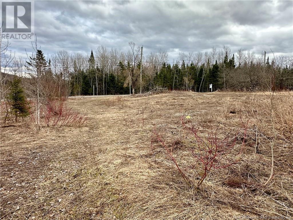 1253 395 Route, Blue Bell, New Brunswick  E7G 4B3 - Photo 7 - NB113447