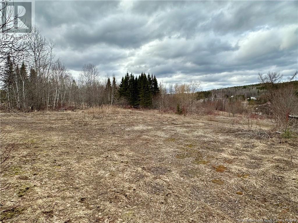 1253 395 Route, Blue Bell, New Brunswick  E7G 4B3 - Photo 4 - NB113447