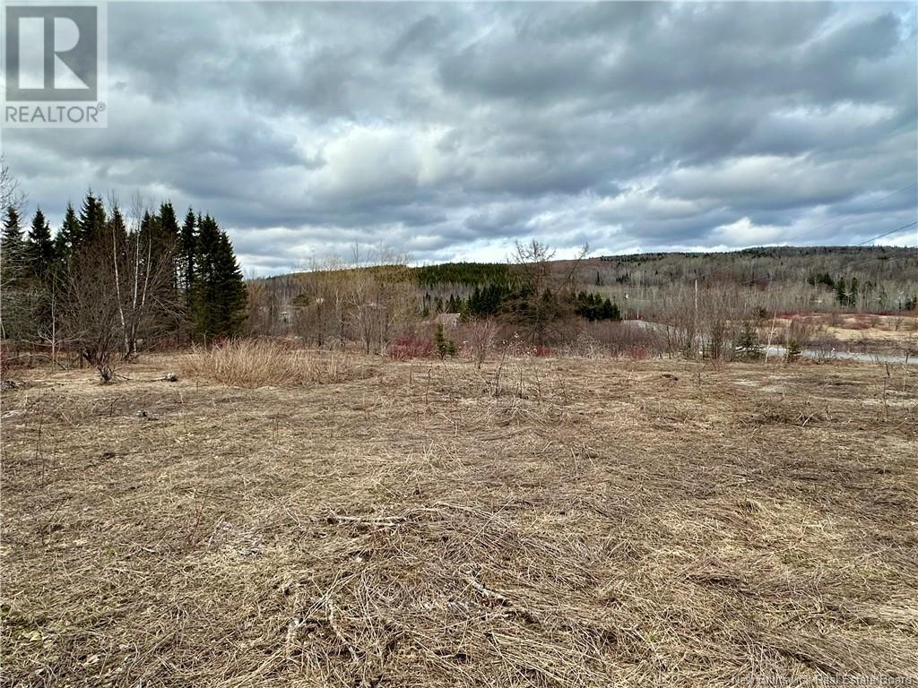 1253 395 Route, Blue Bell, New Brunswick  E7G 4B3 - Photo 5 - NB113447