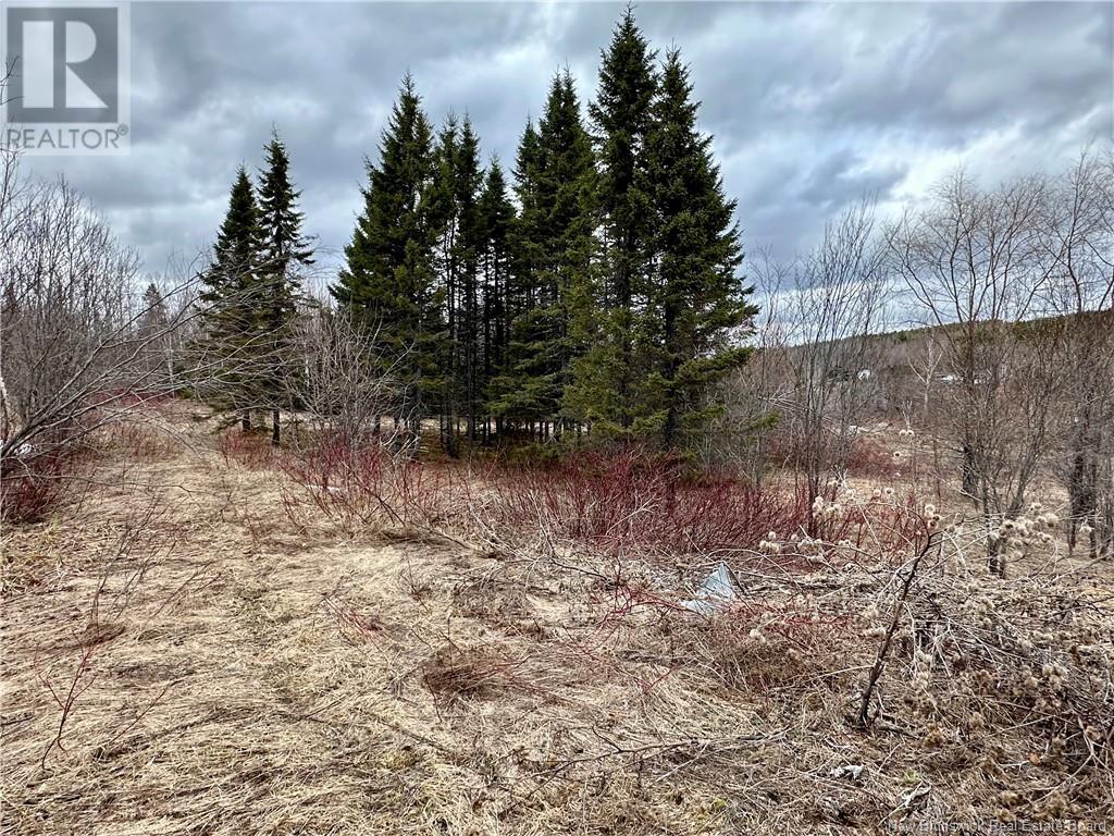 1253 395 Route, Blue Bell, New Brunswick  E7G 4B3 - Photo 8 - NB113447