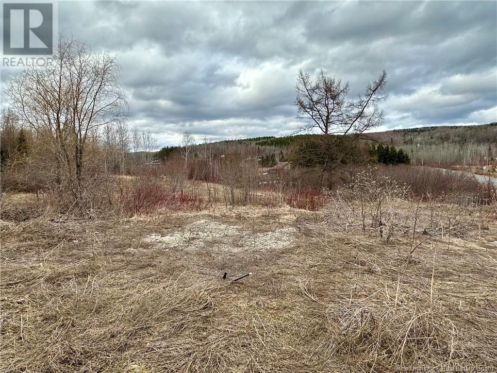1253 395 Route, Blue Bell, New Brunswick  E7G 4B3 - Photo 9 - NB113447