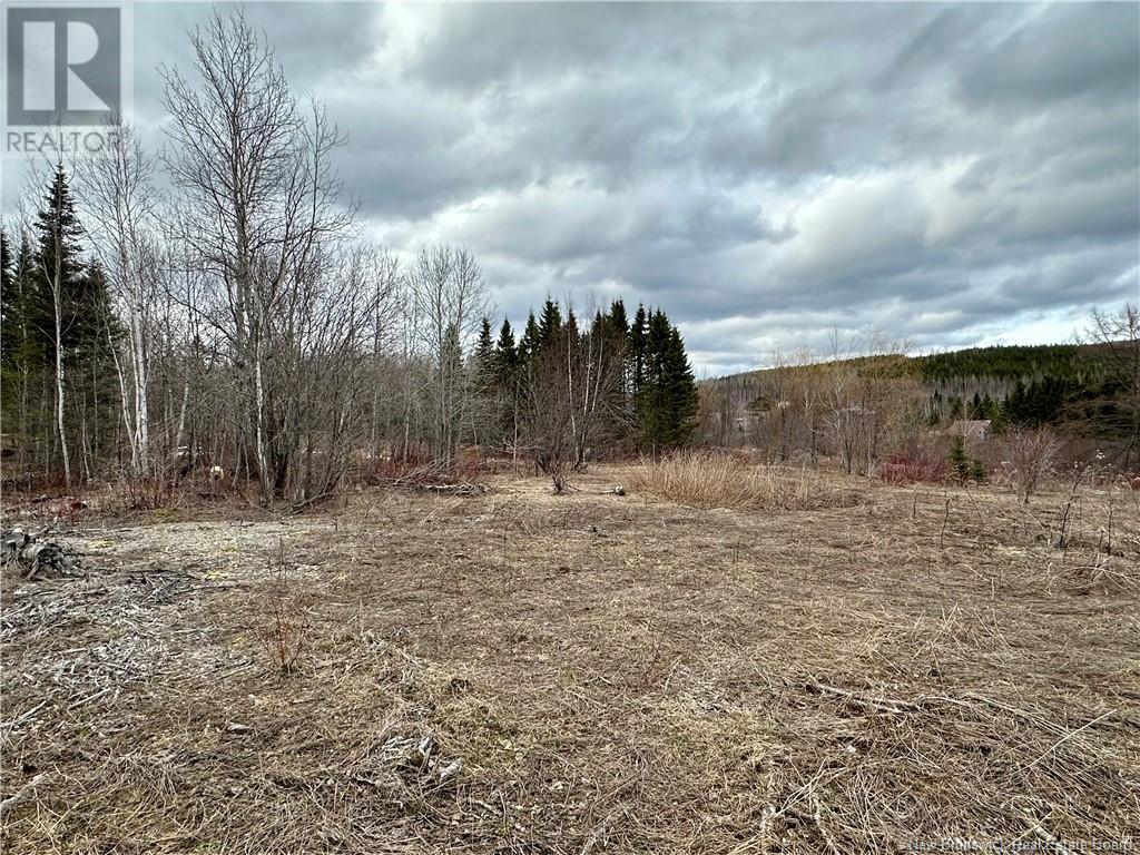 1253 395 Route, Blue Bell, New Brunswick  E7G 4B3 - Photo 6 - NB113447