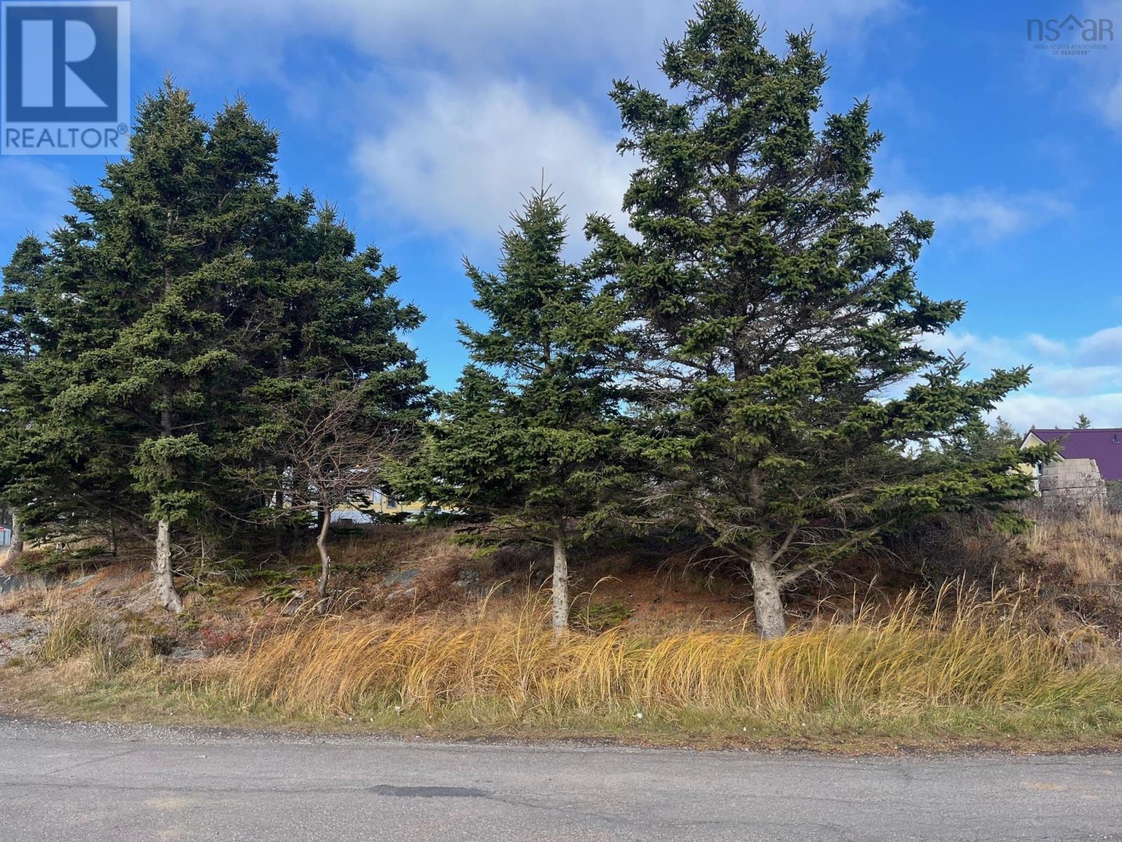 Lot Pid#60171535 Herring Rock Road, Blue Rocks, Nova Scotia  B0J 2C0 - Photo 18 - 202426438
