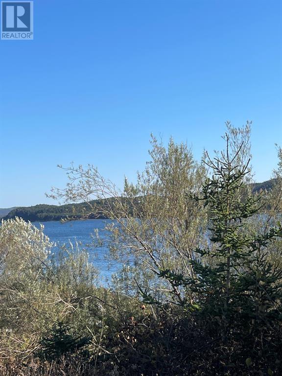 73-75 Bayview Street, Marystown, Newfoundland & Labrador  A0E 2M0 - Photo 2 - 1268707