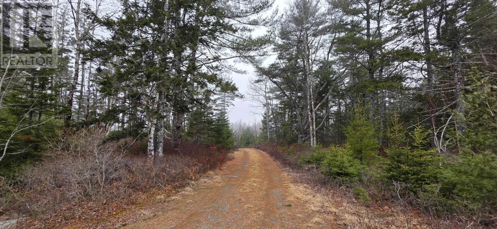 Lot 39 Plymouth Gentian Road, gavelton, Nova Scotia