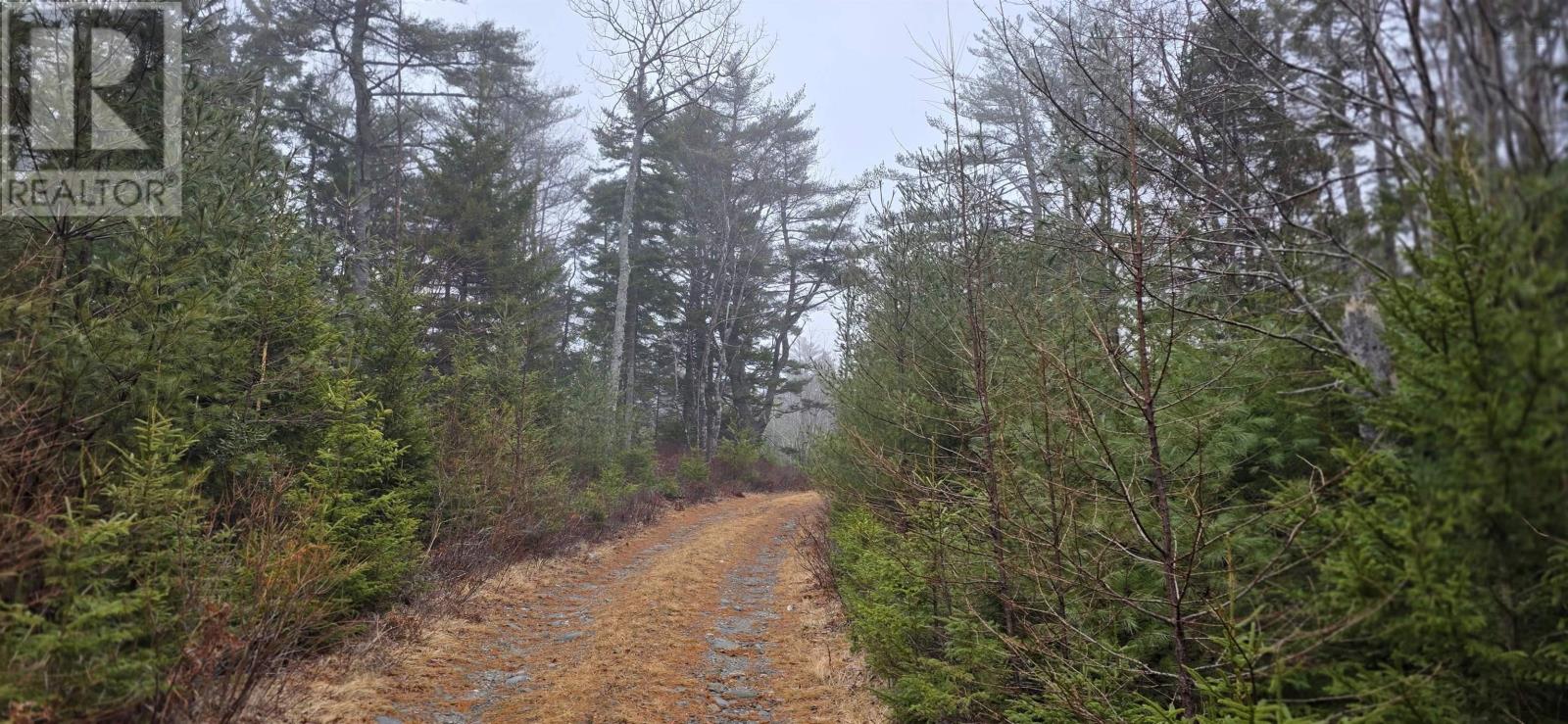 Lot 39 Plymouth Gentian Road, Gavelton, Nova Scotia  B0W 3M0 - Photo 2 - 202504994