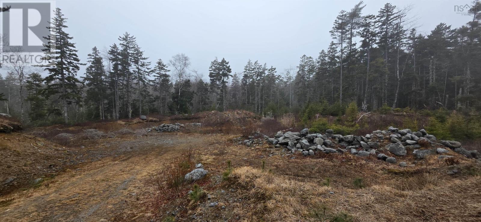 Lot 39 Plymouth Gentian Road, Gavelton, Nova Scotia  B0W 3M0 - Photo 4 - 202504994