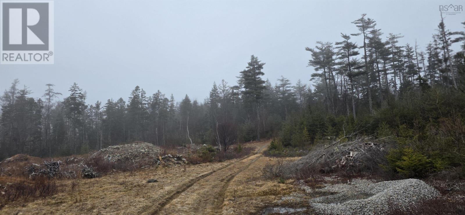 Lot 39 Plymouth Gentian Road, Gavelton, Nova Scotia  B0W 3M0 - Photo 6 - 202504994