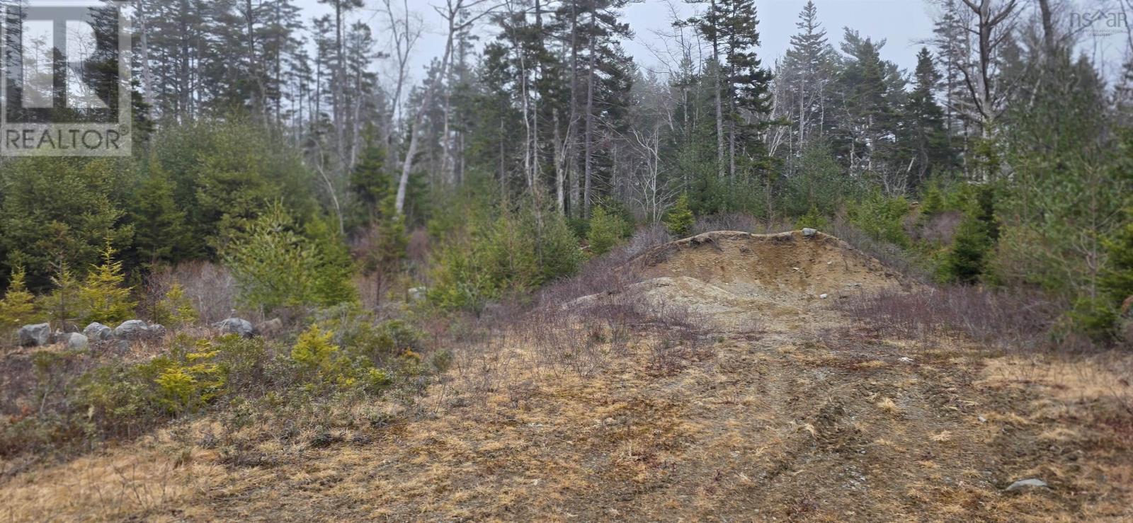 Lot 39 Plymouth Gentian Road, Gavelton, Nova Scotia  B0W 3M0 - Photo 8 - 202504994