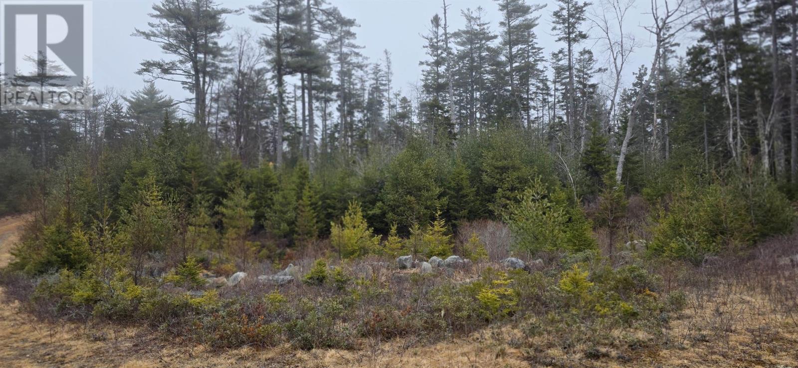 Lot 39 Plymouth Gentian Road, Gavelton, Nova Scotia  B0W 3M0 - Photo 9 - 202504994