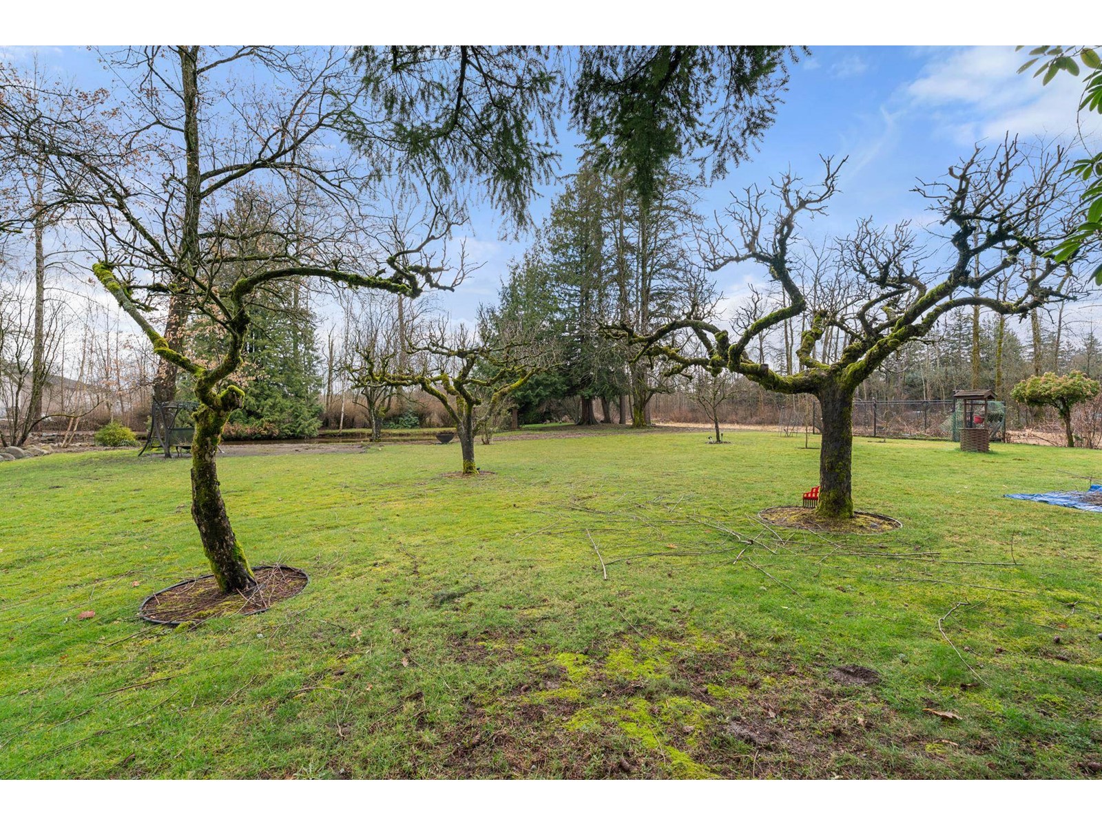 4040 240 Street, Langley, British Columbia  V2Z 2L4 - Photo 29 - R2967214