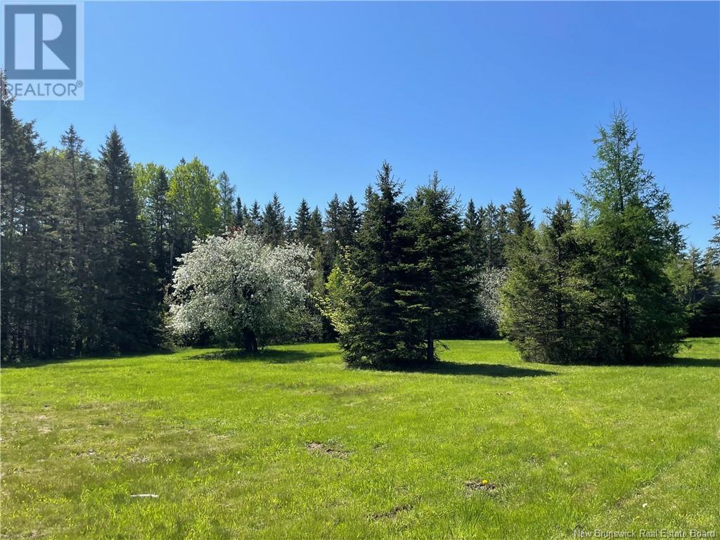 650 Salem Road, Havelock, New Brunswick  E4Z 5S3 - Photo 38 - NB114153