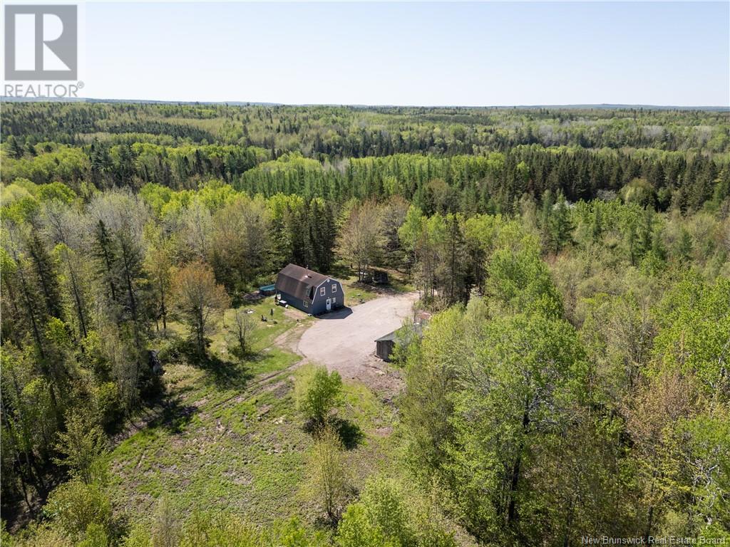 650 Salem Road, Havelock, New Brunswick  E4Z 5S3 - Photo 46 - NB114153