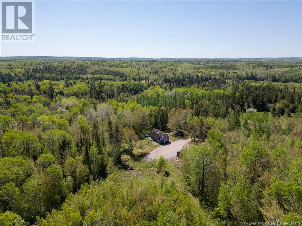 650 Salem Road, Havelock, New Brunswick  E4Z 5S3 - Photo 47 - NB114153
