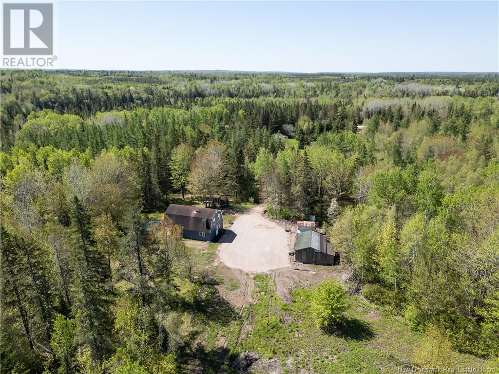650 Salem Road, Havelock, New Brunswick  E4Z 5S3 - Photo 50 - NB114153