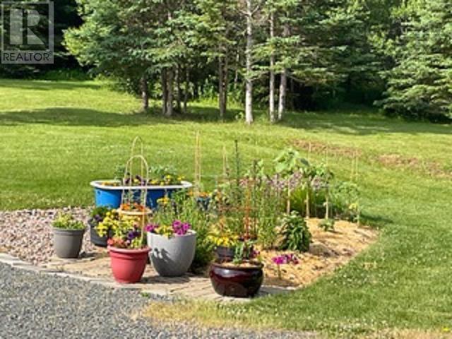 1482 North Shore Road, North Shore, Nova Scotia  B0K 1E0 - Photo 47 - 202505006