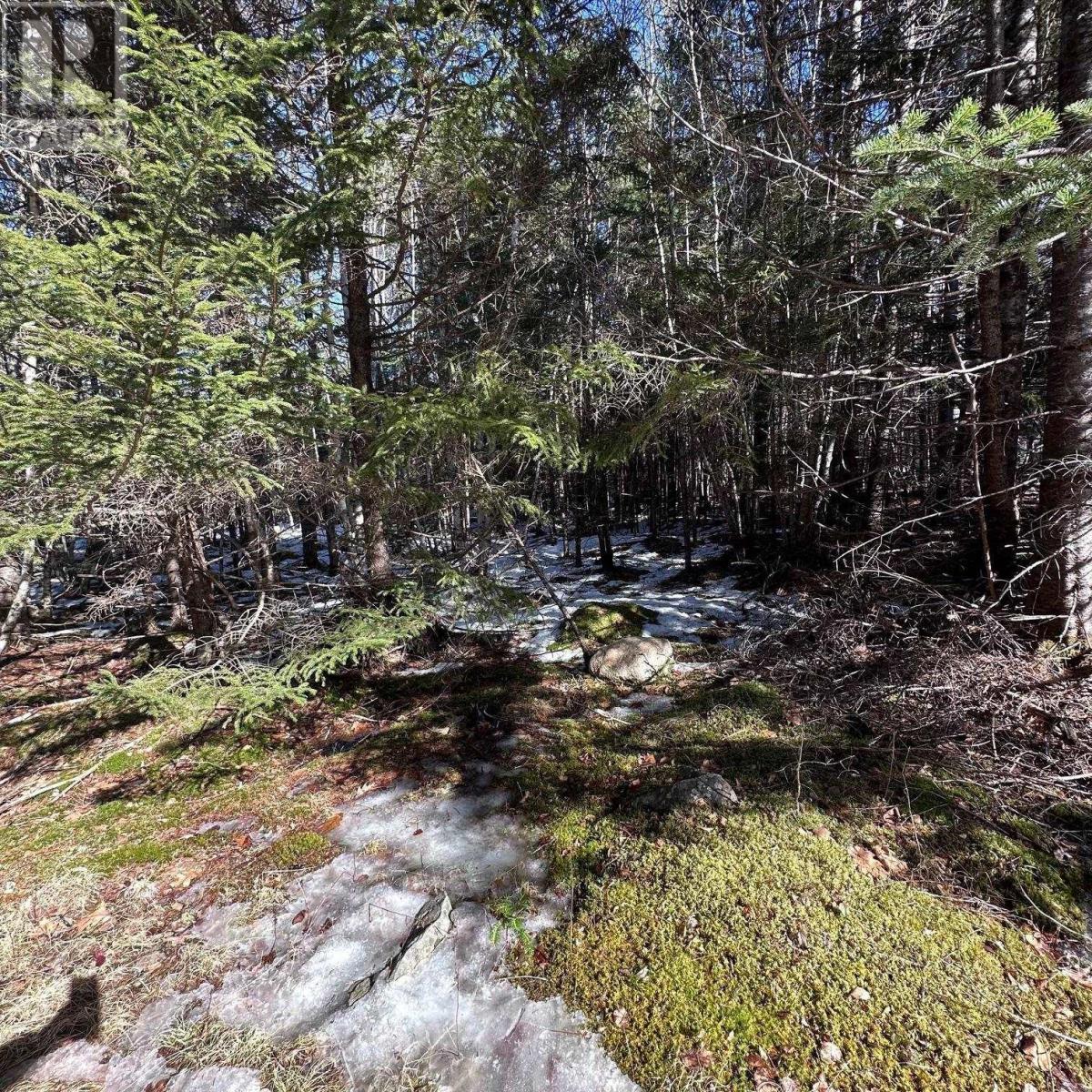 Lot M-2a Grant Lake Road, Chester Grant, Nova Scotia  B0J 1K0 - Photo 10 - 202505007