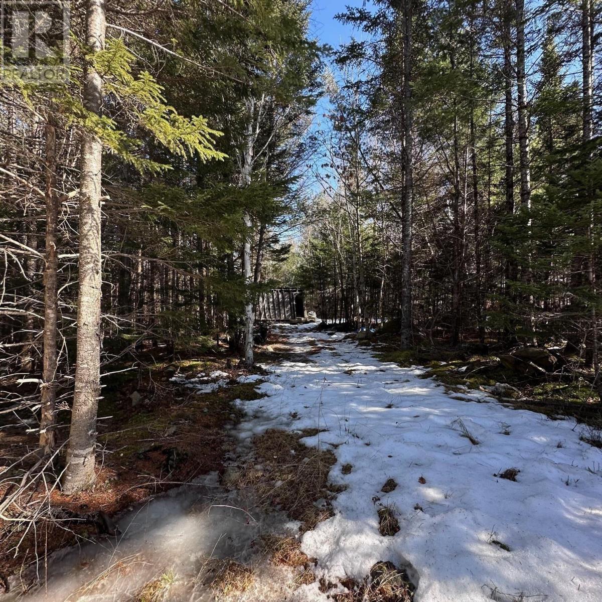 Lot M-2a Grant Lake Road, Chester Grant, Nova Scotia  B0J 1K0 - Photo 11 - 202505007