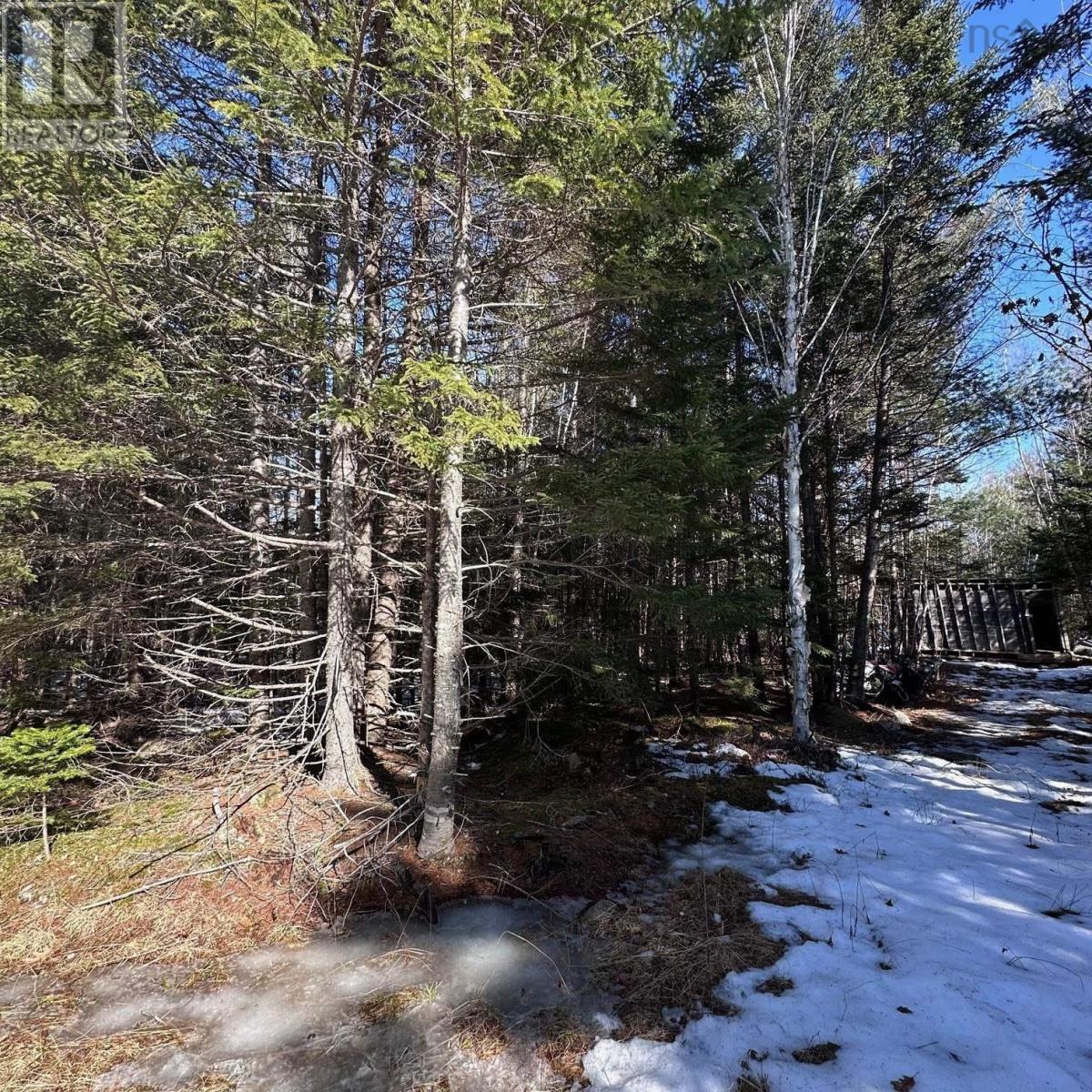 Lot M-2a Grant Lake Road, Chester Grant, Nova Scotia  B0J 1K0 - Photo 12 - 202505007