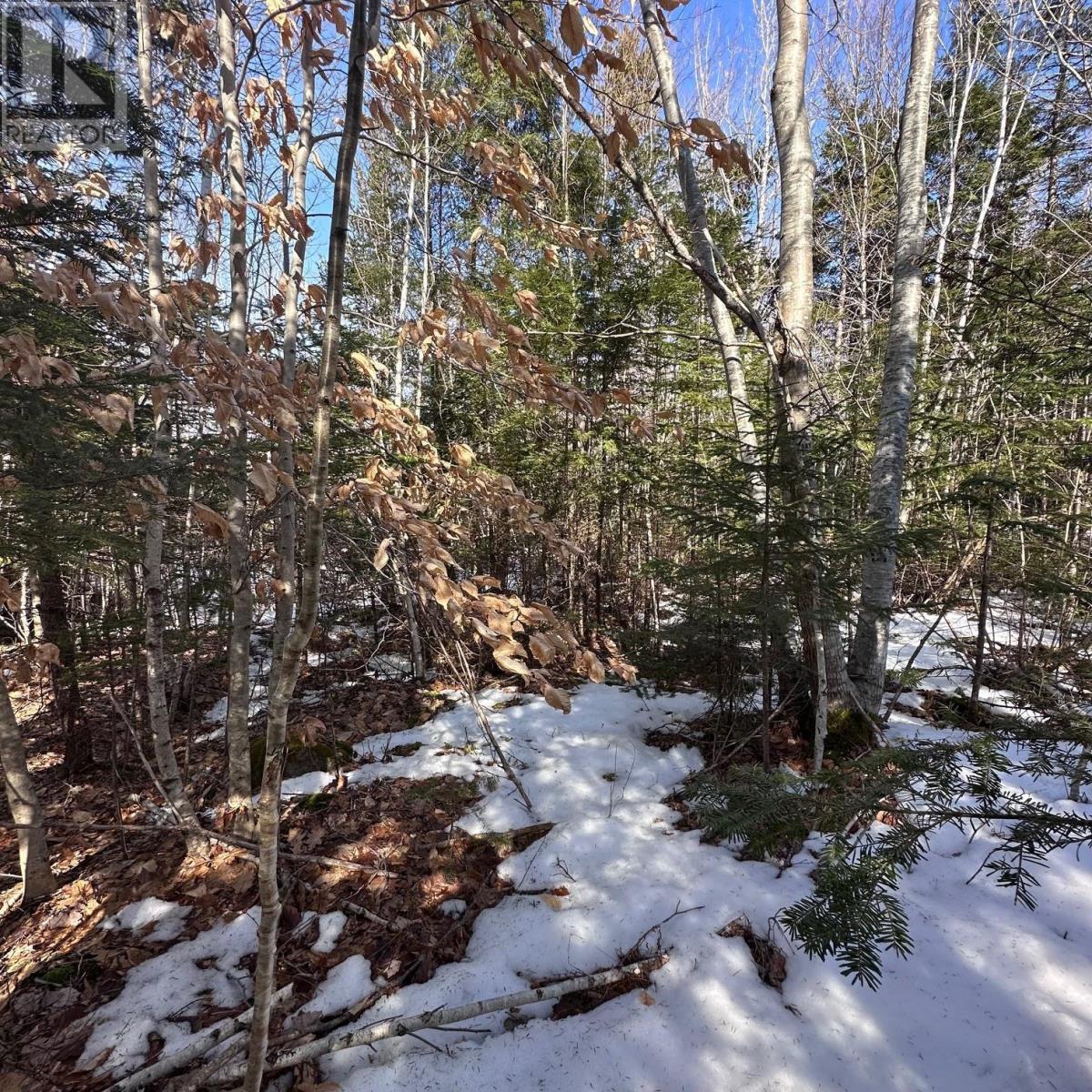 Lot M-2a Grant Lake Road, Chester Grant, Nova Scotia  B0J 1K0 - Photo 13 - 202505007