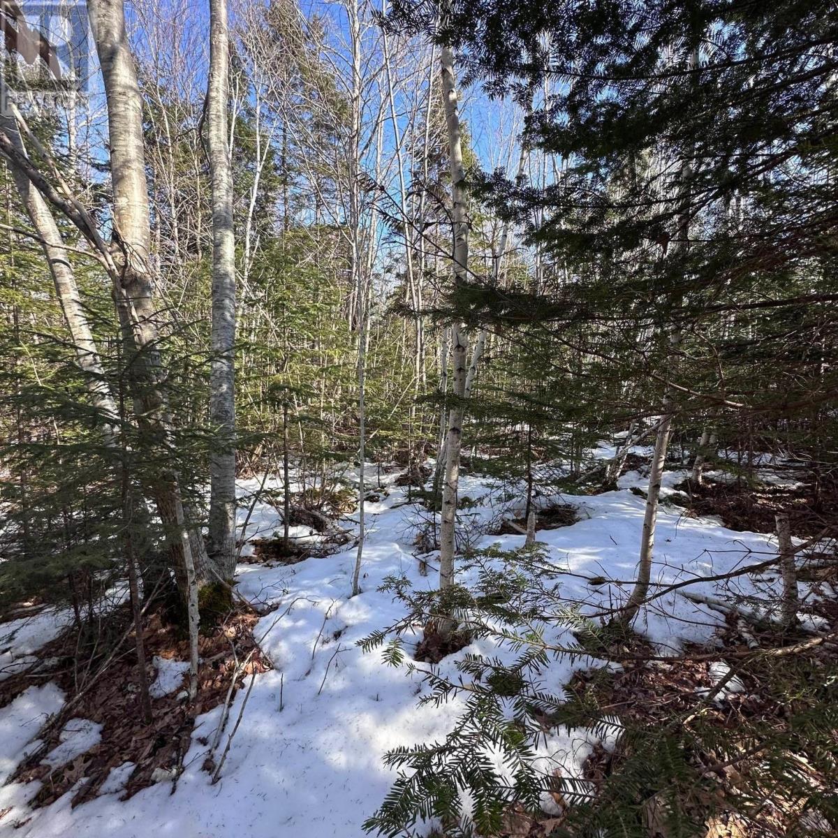 Lot M-2a Grant Lake Road, Chester Grant, Nova Scotia  B0J 1K0 - Photo 14 - 202505007