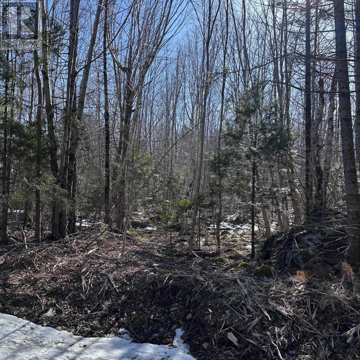 Lot M-2a Grant Lake Road, Chester Grant, Nova Scotia  B0J 1K0 - Photo 2 - 202505007