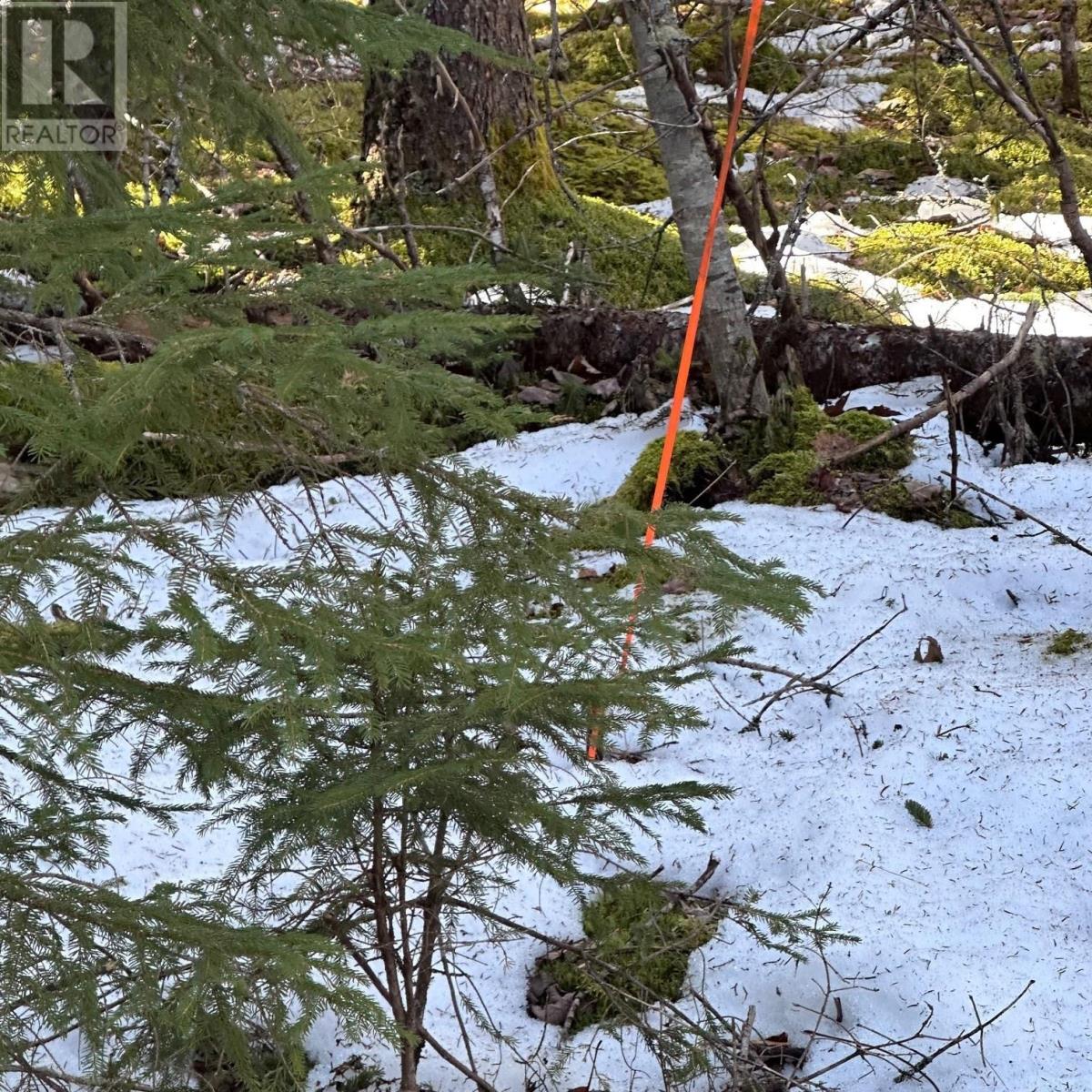 Lot M-2a Grant Lake Road, Chester Grant, Nova Scotia  B0J 1K0 - Photo 7 - 202505007