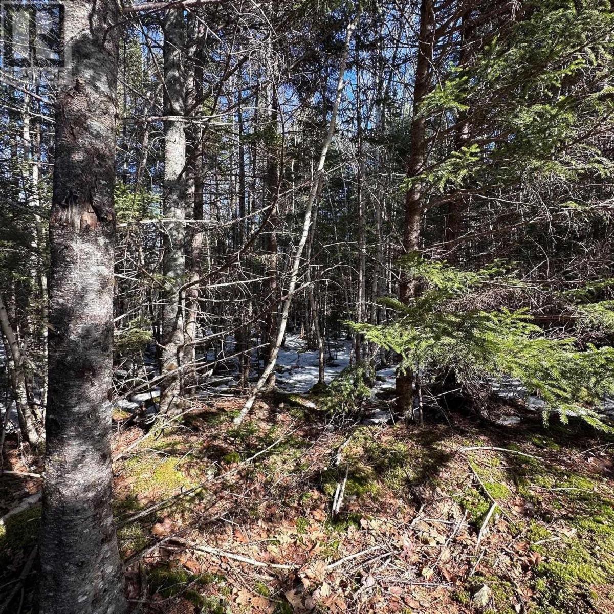 Lot M-2a Grant Lake Road, Chester Grant, Nova Scotia  B0J 1K0 - Photo 9 - 202505007